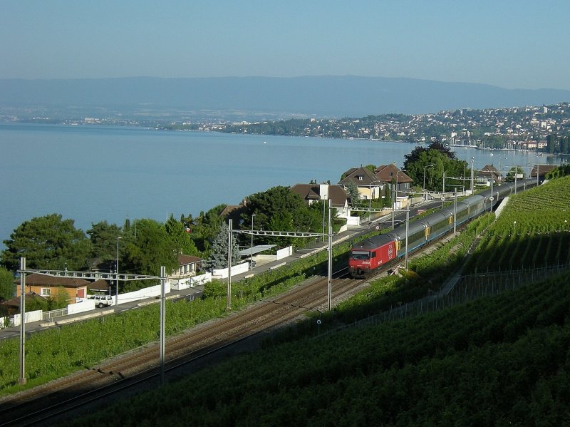 Morgenstund hat Gold im Mund und ein langer Schatten, �ber