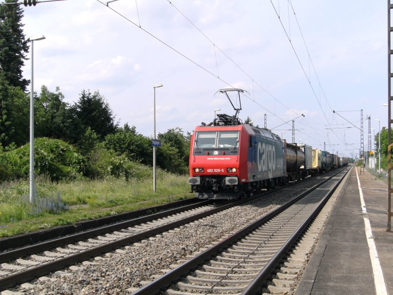 Eine BR 482 der SBB Cargo f�hrt von Freiburg nach