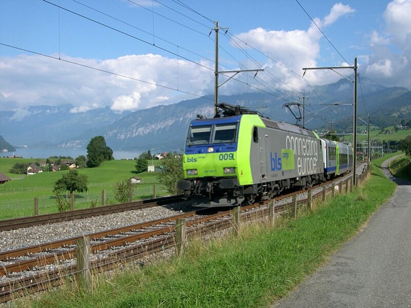 Bernese Oberland 2007 - Only very rarely encountered one of