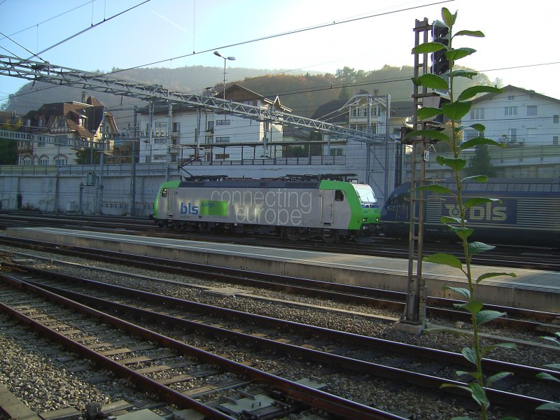 The Re 485 BLS 005 on 03/11/2007 in Spiez (automatically