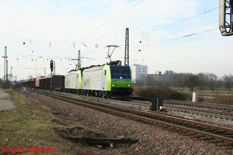 BLS 485 016-0 am 07.03.2008 in Niederschopfheim. 