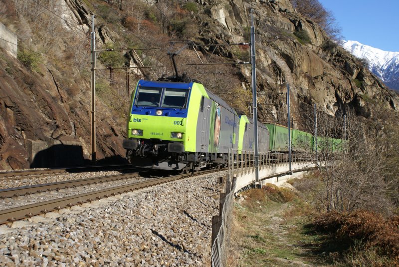 Re 485 003-8 und Re 485 020-2 schleppen einen G�terzug