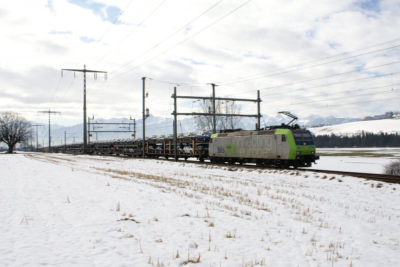 Re 485 010-3 f�hrt mit am 20.2.09 einen G�terzug von