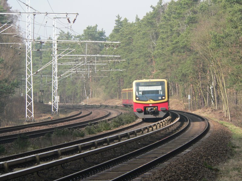 Bei Wilhelmshagen, 8.3.2008  