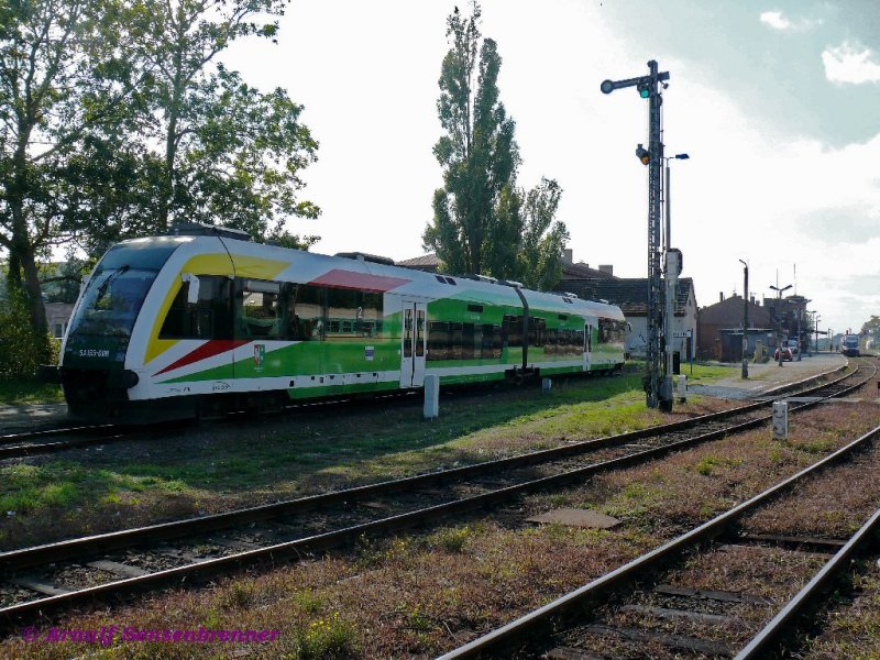 Der von PESA gebaute Triebzug SA133-008 (finanziert durch die Wojewodschaft-Lebus=Wojew�dztwo-lubuskie).
27.09.2008