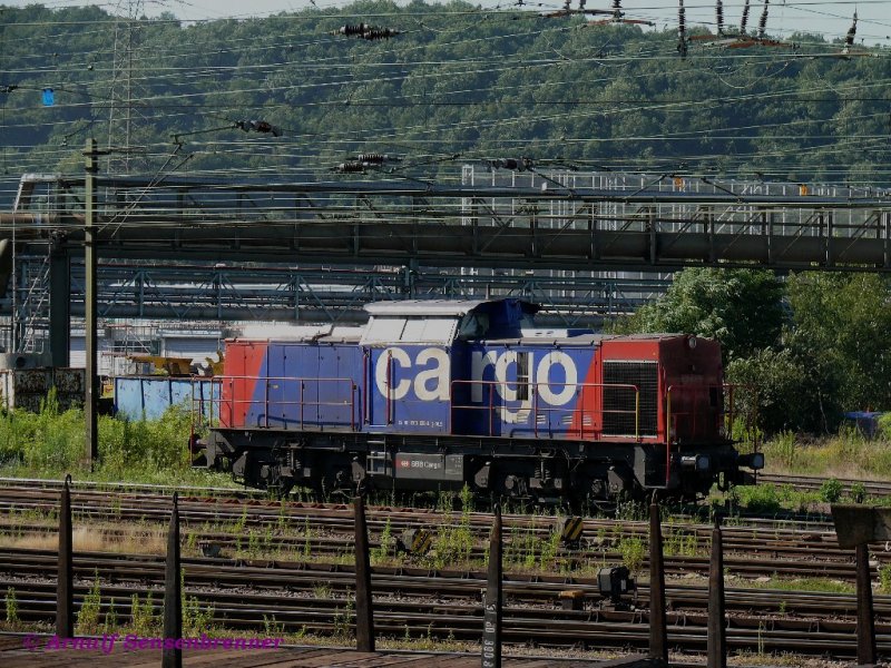 F�r SBB Cargo ist diese Deutsch-Schweizerin unterwegs. Diese in SBB-Cargo