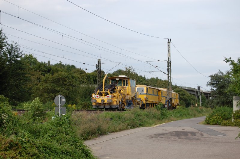 Und nochmal: Bauger�mpel auf dem Weg in die Heimat. Hier