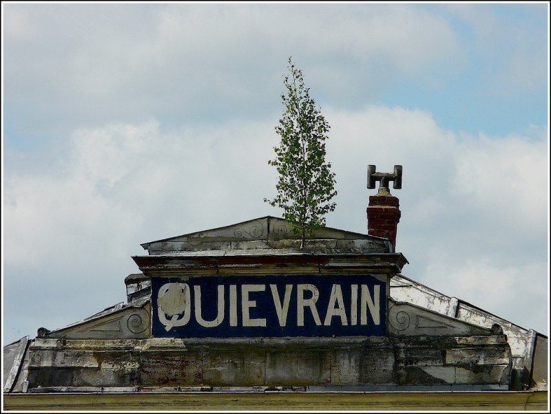 Dachbegr�nung. 22.05.09 (Jeanny)  