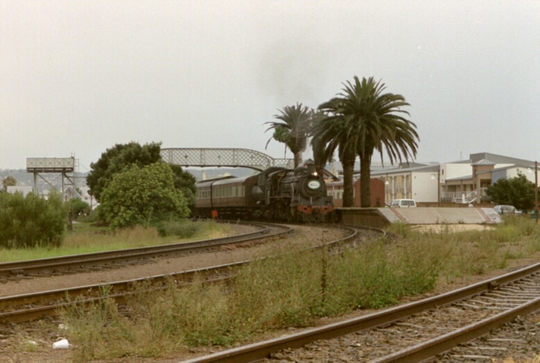 Exotisch muten die Palmen an, die den Bahnsteig von Knysna