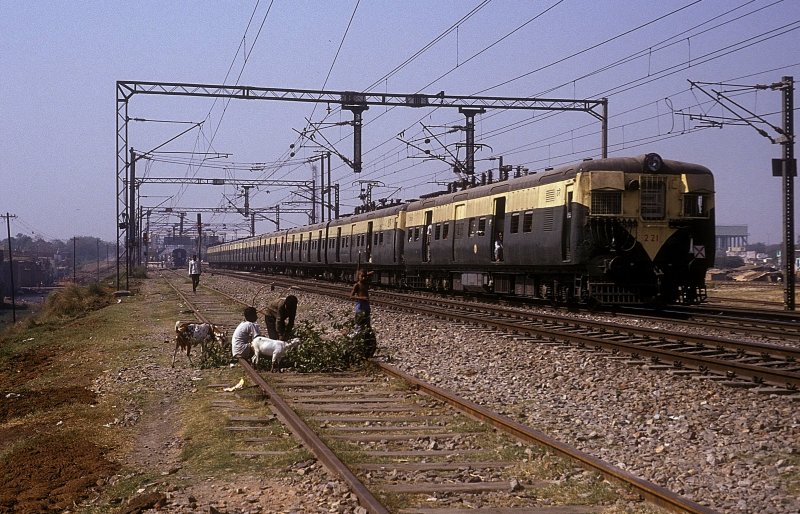 221 Delhi-Shahdara 06/11/1993 (automatically translated, Powered by Google) 