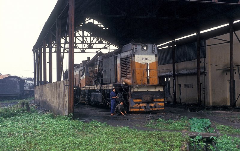 D8H 2003 Yen Vienh 24.02.93 