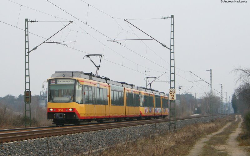 910 and 917 as S41 to Freudenstadt Hbf between Durmersheim
