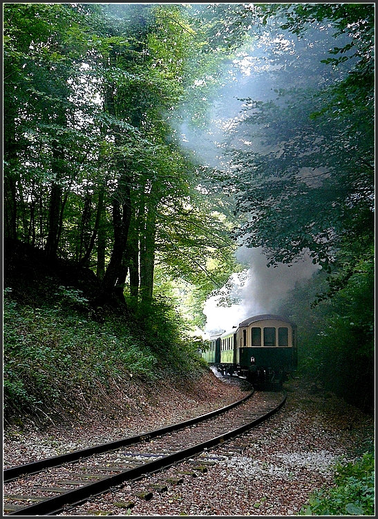 Stimmungsbild des Train 1900 im  Fuussbsch . 13.09.09 (Hans)