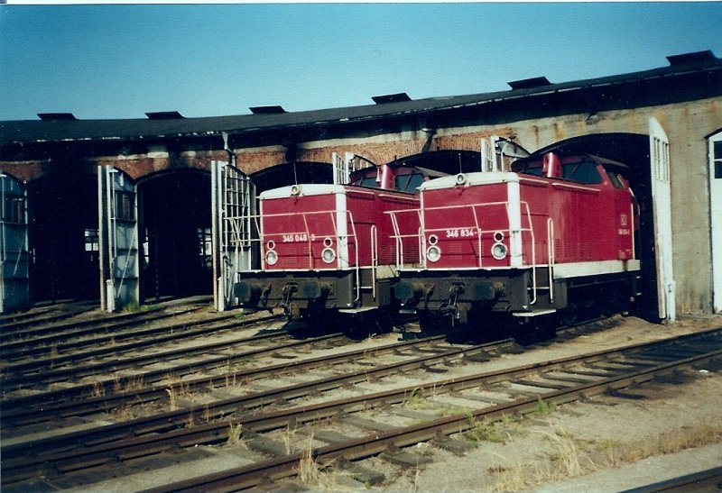 345 048 und 346 834 im Lokschuppen 2 im August