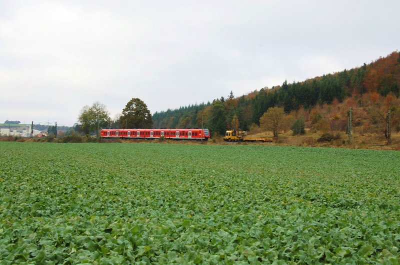 Strecke Geislingen - Ulm am 19.10.09; auf freier Strecke begegnen sich eine 423-S-Bahn und ein SKL