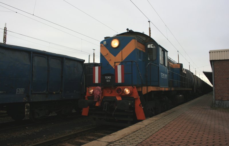 TEM2-101 am 27.11.2008 im DB Bahnhof Guben 