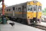 1101-1140-thn THN 1122 am 26.M�rz 2010 im Bf. Ayutthaya.
