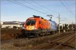 Werbeochse 1116 250  Feuerwehr  ...  Leitner Thomas 14.11.2009