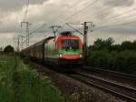 1x16-werbeloks Auch am 27.05.2010 war ich wieder in Obertraubling und m�chte euch auch diesmal meine F�nge nicht vorenthalten: 
Bild Nr. 3: 1116 007 -4 '60 Jahre SOS Kinderd�rfer' war wieder am Audizug nach Gy�r 