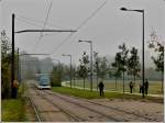 - Herbst ...  De Rond Hans und Jeanny 02.11.2011