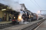 5519 ruhte ...  Marvin Hess 05.02.2012