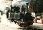 Achenseebahn (96 Photos)