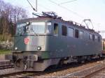 ae-6-6--ae-610 Gut zu sehen, das auch die Ae 6/6 11513 *Wallisellen* ein Opfer der Schmierfinken namens Sprayer war..
21.04.10