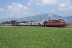 Ae 6/6 11424 zieht am 19.4.10 einen langen G�terzug von ...