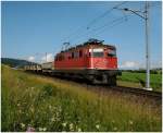 ae-6-6--ae-610 Ae 6/6 bei der Arbeit, kurz vor W�renlos.