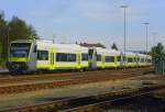Mehrere Agilis 650er stehen ...  Daniel W. 08.11.2011