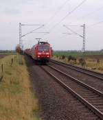 Mit einem Containerzug kommt ...  Andreas Strobel 07.11.2010