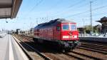 Baureihe 233 127-0 in ...  Christian Meinhard 30.04.2011