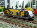 BR 101 141 der ...  Volker Francke 13.02.2010