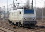 Diese graue PRIMA E ...  Volker St�ckmann 09.02.2011