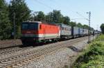 1144 230 vor einem ...  Sebastian Roggenbrod 03.09.2011