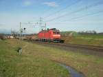 DB Br 185 097-3 ...  Dominic Wyss 06.12.2009