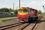 N Class der V-Line umfhrt am 8.12.2011 in Marshall den 16.46 Uhr IC 8244 nach Melburne. Diese Lok ist mit der neuen Lackierung versehen, damit sie von weitem auf den vielen ungesicherten bergngen sichtbar ist.