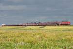 Die 218 342-4 und ...  Eric Otten 23.08.2011