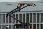 Bahn und Tiere Alte Bilder: Ein Schwarzfahrer auf dem RE1 von Aachen nach Hamm am 20.09.2010