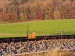 Bahn und Tiere (1 Fotos)