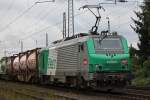FRET 437008 am 2.9.10 in Ratingen-Lintorf  ...