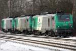 bb-37000-prima 'Ein Rudel Fretchen' ist in Gelsenkirchen-Bismarck selten anzutreffen. Die im Bereich B� Bismarck abgestellten 437023, 437026 und 437028 werden betriebsbereit gemacht.  -  13.01.2010  -