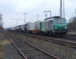 bb-37000-prima FRET 437008 am 20.2.10 in Ratingen-Lintorf