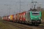 FRETchen 437016 am 17.4.10 in Ratingen-Lintorf  ...