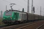 FRET 437008 am 12.10.10 ...  Niklas Eimers 28.10.2010