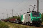 FRET 437011 am 16.4.11 ...  Niklas Eimers 28.06.2011