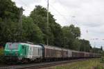 FRET 437009 am 23.7.11 ...  Niklas Eimers 11.08.2011