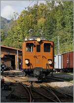 Die Bernina Bahn RhB Ge 4/4 81 der Blonay-Chamby Bahn rangiert in Chaulin um ihren Zug nach Blonay bereit zu stellen. Das (stark zugeschnitten) Bild wurde ausserhalb des Gleisbereichs beim Stellwerk der B-C aufgenommen. 

30. Sept. 2023