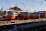 BD-Triebwagen-Parade mit 3 BDe ...  Heinz Stoll 02.02.2011