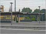 In den belgischen Bahnhfen tut sich was! In Brgge sind die Renovierungsarbeiten fast abgeschlossen und hier sieht man die neuen Banhsteigsbedachungen. 13.09.08 (Jeanny)